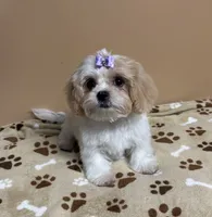 processed/26d39116-d997-49a2-b3b5-33e4c3d5a167/listing/1253ce77-40fc-4be5-b13c-883760376720/da66b506-86cf-4078-b653-32320209c5cf