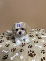 processed/26d39116-d997-49a2-b3b5-33e4c3d5a167/listing/1253ce77-40fc-4be5-b13c-883760376720/fc74cffb-b234-46a1-af26-3e73fd253df4