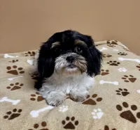 processed/26d39116-d997-49a2-b3b5-33e4c3d5a167/listing/815b1ae3-87f1-4522-8c47-1db88675217b/ae21bebe-c57d-4f23-abea-b6d0fea0a27b