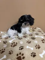 processed/26d39116-d997-49a2-b3b5-33e4c3d5a167/listing/815b1ae3-87f1-4522-8c47-1db88675217b/bd97d3b9-73a1-4875-8fe9-8c662de0ff81