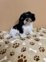 processed/26d39116-d997-49a2-b3b5-33e4c3d5a167/listing/815b1ae3-87f1-4522-8c47-1db88675217b/ceacc502-6209-4a31-89f1-9b072ebfc7a7