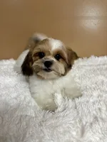 processed/26d39116-d997-49a2-b3b5-33e4c3d5a167/listing/f6e5bacd-4841-44a0-877d-1c04be4521c8/6e5ae6e4-7ced-46a9-ad50-cbd9c1e048f6