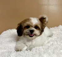 processed/26d39116-d997-49a2-b3b5-33e4c3d5a167/listing/f6e5bacd-4841-44a0-877d-1c04be4521c8/f2b806c8-5e11-401f-999e-e6a3a235ccdd