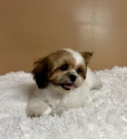 processed/26d39116-d997-49a2-b3b5-33e4c3d5a167/listing/f6e5bacd-4841-44a0-877d-1c04be4521c8/fabc4fe4-bc46-4d24-9d72-08678c9e9805