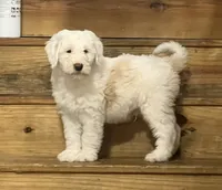 processed/26d5db92-d48f-49ef-9118-20c8ed621275/listing/40972a4e-b144-4aab-8837-1d1584672f15/52047c95-7f9d-4c2f-a1b1-30d74fc2510a