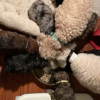 processed/26ed52e7-dca7-4e6b-9978-743c46a275c4/facility/5006ed4d-3dae-4b18-9904-b7d5f2a5a65b