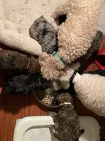 processed/26ed52e7-dca7-4e6b-9978-743c46a275c4/facility/5006ed4d-3dae-4b18-9904-b7d5f2a5a65b