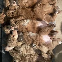 processed/26ed52e7-dca7-4e6b-9978-743c46a275c4/facility/5ead7d58-bc7e-4e79-896c-4c693e1fa9c7