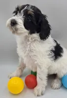 processed/26f8cf51-834b-43ff-99b7-63ba0f6c1464/listing/494f0407-c7d1-4985-b3eb-b2eb800399e5/16ebe607-be8c-451e-980c-7064a9cd3c49