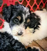 processed/26f8cf51-834b-43ff-99b7-63ba0f6c1464/listing/494f0407-c7d1-4985-b3eb-b2eb800399e5/36c7f838-a911-44e4-b15f-0ae77d2a9bc7