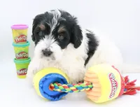 processed/26f8cf51-834b-43ff-99b7-63ba0f6c1464/listing/494f0407-c7d1-4985-b3eb-b2eb800399e5/529bd6da-5398-4f16-acdd-419ad3d4a2d1