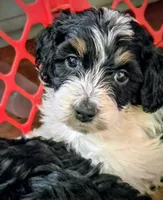 processed/26f8cf51-834b-43ff-99b7-63ba0f6c1464/listing/494f0407-c7d1-4985-b3eb-b2eb800399e5/bb83d483-9c2f-40fb-906e-365318b090d7