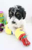 processed/26f8cf51-834b-43ff-99b7-63ba0f6c1464/listing/494f0407-c7d1-4985-b3eb-b2eb800399e5/be0572b5-8e0a-4cf8-ac35-df8e6fb67092