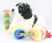 processed/26f8cf51-834b-43ff-99b7-63ba0f6c1464/listing/494f0407-c7d1-4985-b3eb-b2eb800399e5/efb812f3-2147-485a-8873-af22a8e80699