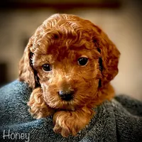 processed/2700c9ed-096c-4a7c-9865-322e937de748/facility/002925c2-7dbd-4d05-8dc8-f4ba79632670