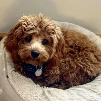 processed/2700c9ed-096c-4a7c-9865-322e937de748/facility/2ae4d52f-26b7-49d1-992d-c38c4986ab71