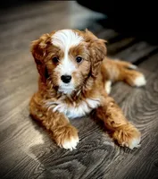 processed/2700c9ed-096c-4a7c-9865-322e937de748/facility/37f290fe-1df3-470c-b35b-23c425bd7e44