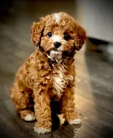 processed/2700c9ed-096c-4a7c-9865-322e937de748/facility/3ab3a560-4a3a-49f6-9d1a-2cc551bb1672