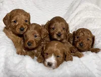 processed/2700c9ed-096c-4a7c-9865-322e937de748/facility/b7e0ca04-4c04-4a27-ba6b-0a317fffa328