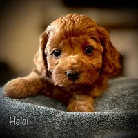 processed/2700c9ed-096c-4a7c-9865-322e937de748/facility/cdd1f9b1-cf14-4c32-bdcb-b8eeff2cb863