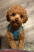 processed/2700c9ed-096c-4a7c-9865-322e937de748/facility/dea30c76-5976-4bec-8f48-82b755bd8a10