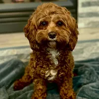 processed/2700c9ed-096c-4a7c-9865-322e937de748/facility/dfd34996-8004-4844-9baf-44a872059f27