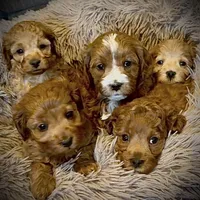 processed/2700c9ed-096c-4a7c-9865-322e937de748/facility/eaaea2bb-bc38-4428-af5e-58da9768b30c