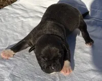 processed/270cb210-8040-417d-b1f1-59181fd40f16/listing/06f62f64-9c60-4ba1-9fda-400d22cfc8e9/09326ef5-fb55-474d-867e-02b0fb7f5eb0