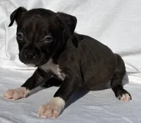 processed/270cb210-8040-417d-b1f1-59181fd40f16/listing/06f62f64-9c60-4ba1-9fda-400d22cfc8e9/29cb6d3e-4a7b-4b9a-b421-89ffeb760b4e