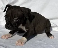 processed/270cb210-8040-417d-b1f1-59181fd40f16/listing/06f62f64-9c60-4ba1-9fda-400d22cfc8e9/9be39ed8-fcbd-4967-9c1f-57bbadb697b9