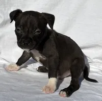 processed/270cb210-8040-417d-b1f1-59181fd40f16/listing/06f62f64-9c60-4ba1-9fda-400d22cfc8e9/e5f4b02b-0bb8-4c64-a4ed-08fdacd11784