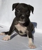 processed/270cb210-8040-417d-b1f1-59181fd40f16/listing/23aa932a-bc30-417e-b3d2-37bfd45607ea/195158de-7b98-4c87-9daf-32426f5732e3