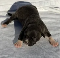 processed/270cb210-8040-417d-b1f1-59181fd40f16/listing/23aa932a-bc30-417e-b3d2-37bfd45607ea/344d44b3-a510-484e-bfa1-01bf3c96d097