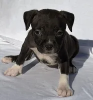 processed/270cb210-8040-417d-b1f1-59181fd40f16/listing/23aa932a-bc30-417e-b3d2-37bfd45607ea/38f79eec-9fd8-4416-b2bd-a1db97714c3e