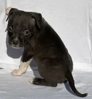 processed/270cb210-8040-417d-b1f1-59181fd40f16/listing/23aa932a-bc30-417e-b3d2-37bfd45607ea/7c43a754-4502-4bab-b451-310843349d43