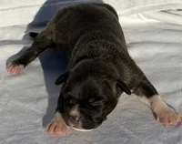 processed/270cb210-8040-417d-b1f1-59181fd40f16/listing/23aa932a-bc30-417e-b3d2-37bfd45607ea/883c1962-f1b5-4c5e-895c-f4e4fb1ebc28