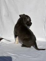 processed/270cb210-8040-417d-b1f1-59181fd40f16/listing/23aa932a-bc30-417e-b3d2-37bfd45607ea/d2f0490a-842e-4e7e-96b3-643b7c43ba7a