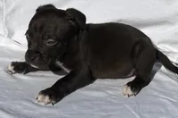 processed/270cb210-8040-417d-b1f1-59181fd40f16/listing/302ec36d-caf9-4358-a94f-85b4a166366e/54c0bee0-83cb-4825-a6fb-781223f7c265