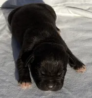 processed/270cb210-8040-417d-b1f1-59181fd40f16/listing/302ec36d-caf9-4358-a94f-85b4a166366e/963b45a8-500f-4f58-96a6-d1490afe86f5