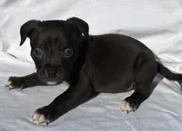 processed/270cb210-8040-417d-b1f1-59181fd40f16/listing/302ec36d-caf9-4358-a94f-85b4a166366e/9bc4d850-c545-4f7e-9533-ef60fc97f722