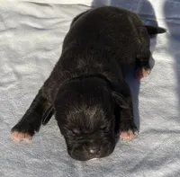 processed/270cb210-8040-417d-b1f1-59181fd40f16/listing/302ec36d-caf9-4358-a94f-85b4a166366e/f9be2c53-3849-40c4-882c-db61c840668f