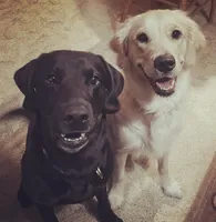 processed/2710480f-666d-4ccb-8764-bf857cd00a7c/facility/4c8b804e-2a99-4482-9cda-f8305dc7a222