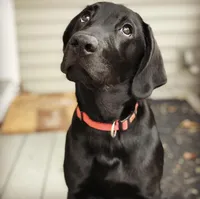 processed/2710480f-666d-4ccb-8764-bf857cd00a7c/facility/952b911c-5f3c-4105-89f2-3e7eebab57f6