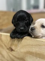 processed/2710480f-666d-4ccb-8764-bf857cd00a7c/facility/a8170cd4-a2a2-4c24-94b7-9b9c34c52190