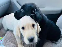 processed/2710480f-666d-4ccb-8764-bf857cd00a7c/facility/e60c7cf2-7ce2-49d5-b37b-e7da3a13ddff