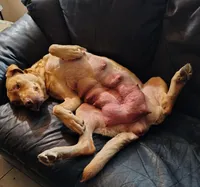 processed/2722e666-5b55-473a-843c-dd8a5efbe193/facility/42dfe76d-2606-460b-8e6e-b18bcd7f4717