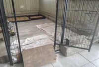 processed/2722e666-5b55-473a-843c-dd8a5efbe193/facility/683d5a02-ce24-4ead-8410-4a8c2691398e