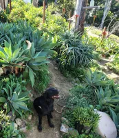 processed/2722e666-5b55-473a-843c-dd8a5efbe193/facility/a844ef14-af93-4c20-aec1-91de91f74909