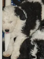 processed/2726d4a4-70d6-4f6d-8b90-e07902d431a7/listing/9b22f5a0-403c-45b1-b8ca-4ab3052f2971/63d941a3-8f8f-432c-b825-e720bc4b4ca9