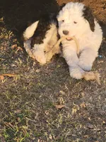 processed/2726d4a4-70d6-4f6d-8b90-e07902d431a7/listing/9b22f5a0-403c-45b1-b8ca-4ab3052f2971/e42fabef-823c-4253-80d6-ef5856be7b54